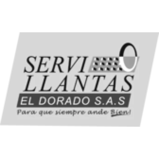 Imagen de ACEITE PARA VEHÍCULOS DIESEL